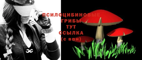 гидропоника Лиски