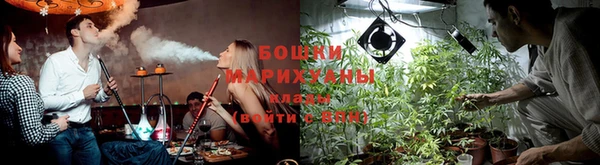 гидропоника Алзамай