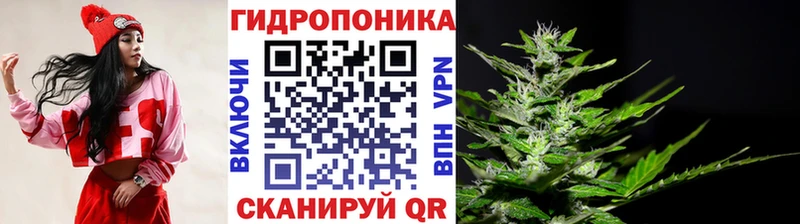 Шишки марихуана гибрид Уяр